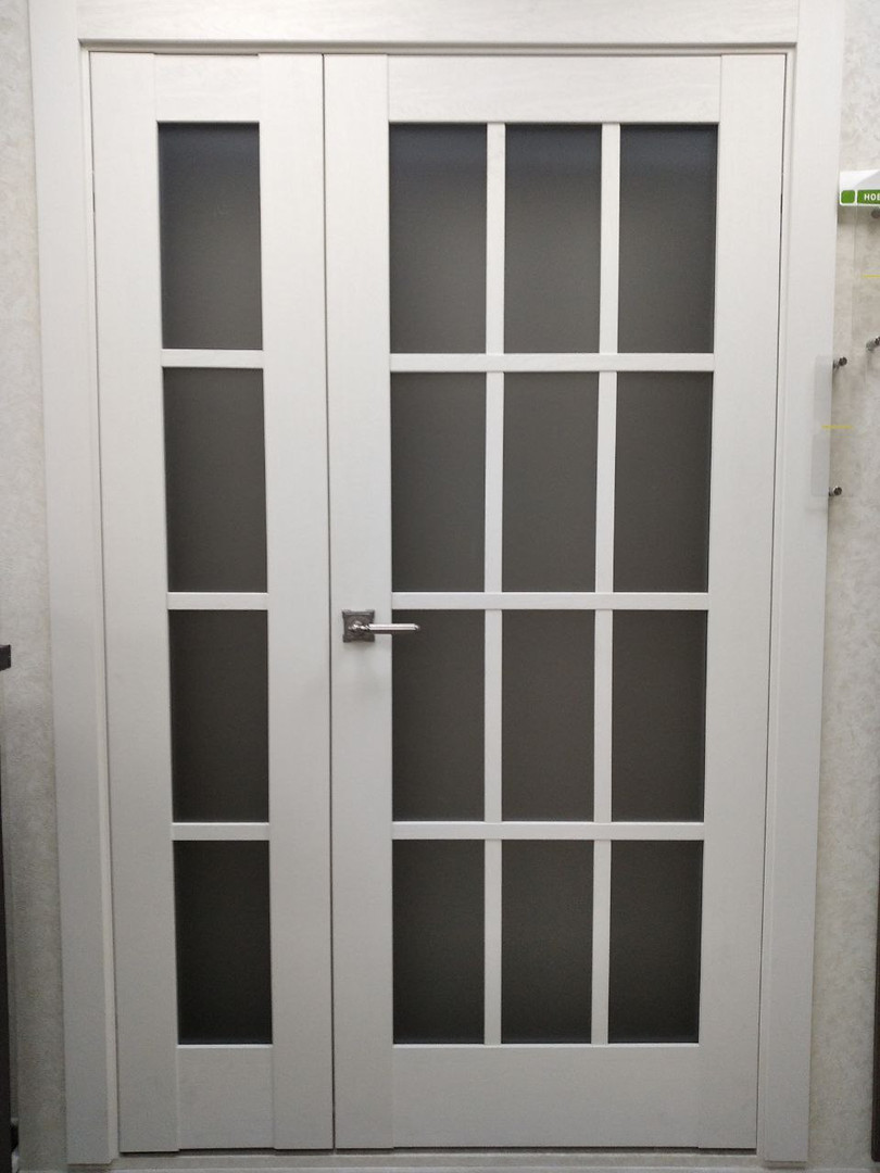 Дверь распашная двустворчатая ProfilDoors / 102XN С коробкой