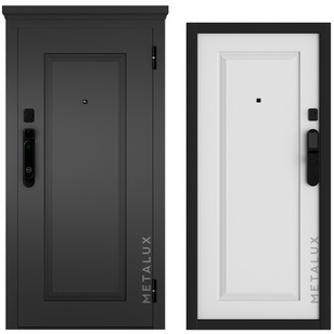 Металюкс M-SP 668