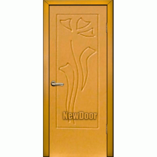 NewDoor  №68