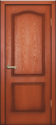NewDoor №1